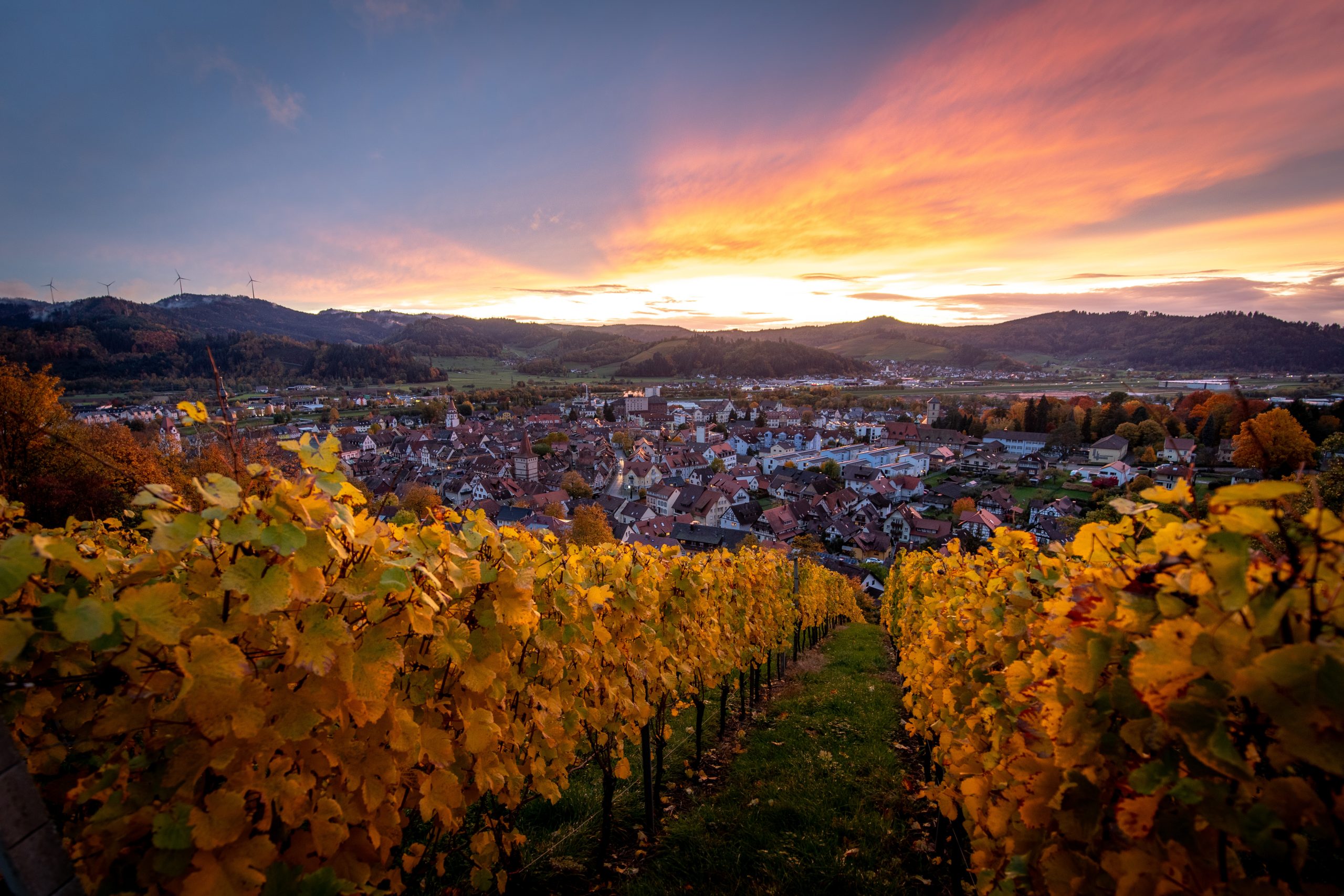 Inspiration1_Gengenbach_Aussicht