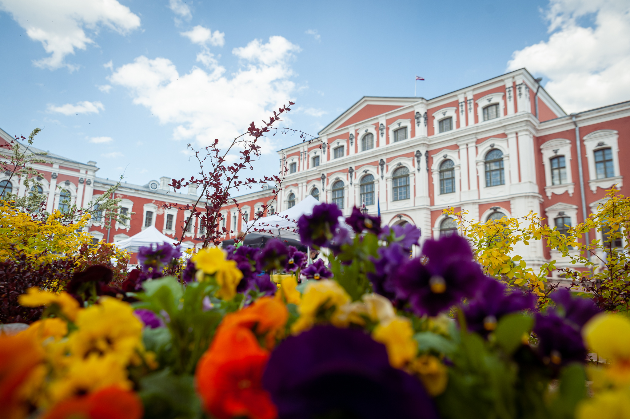 lbtu-atverto-durvju-diena-075-230513