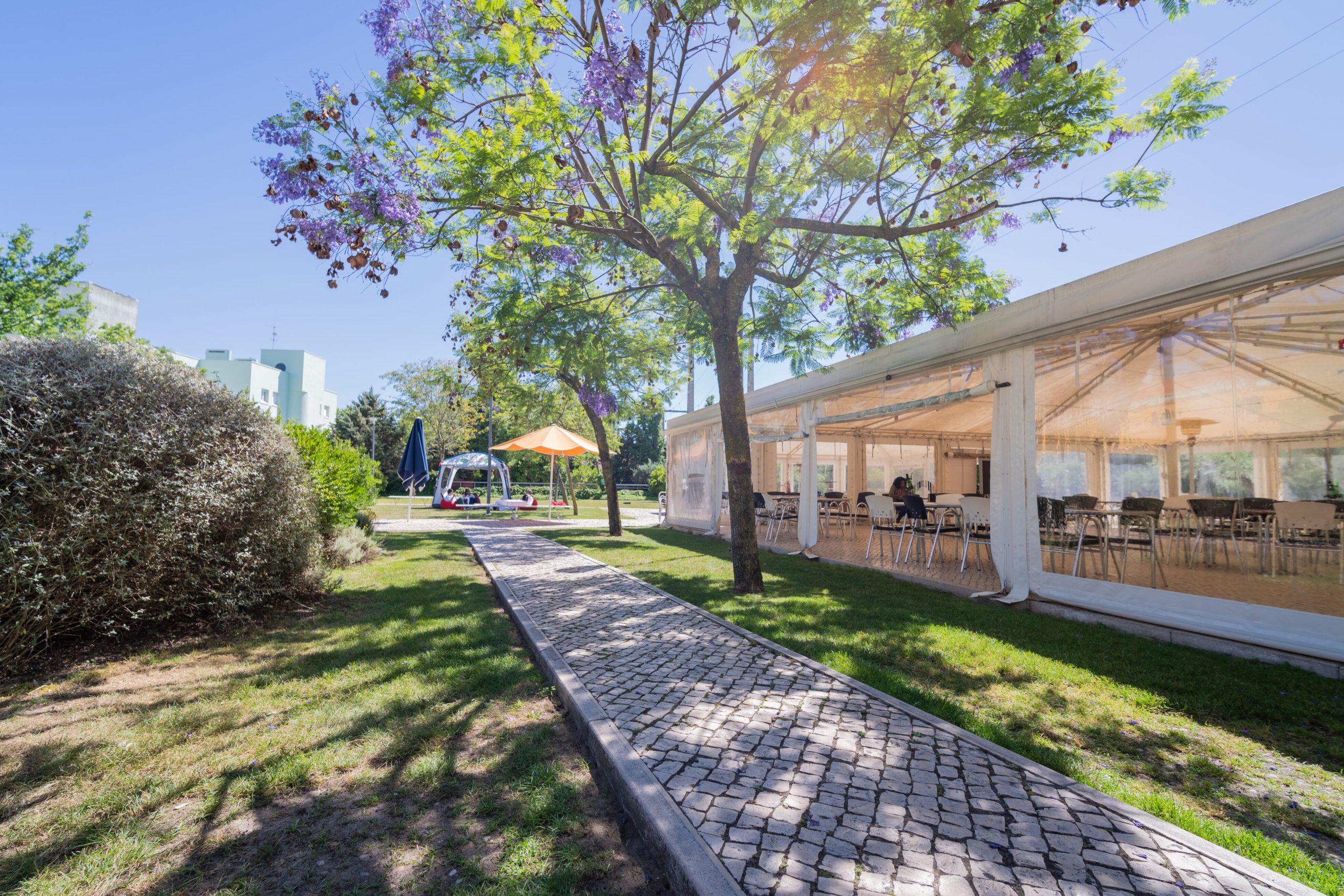 Quinta do Bom Nome (3)